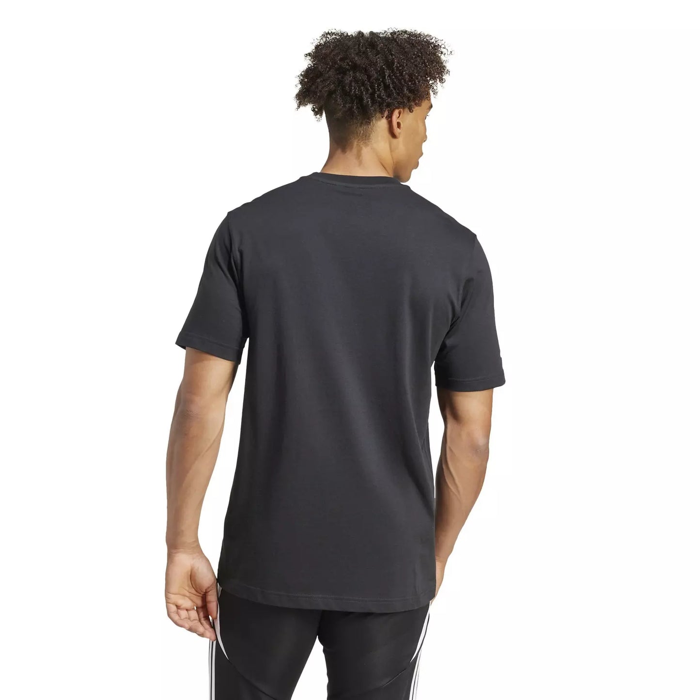 T-shirt Bellingham Tour