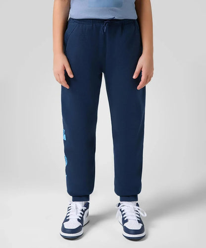 PANTALONE FELPATO JORDAN BLUE SHINE PANT 95D544-U90