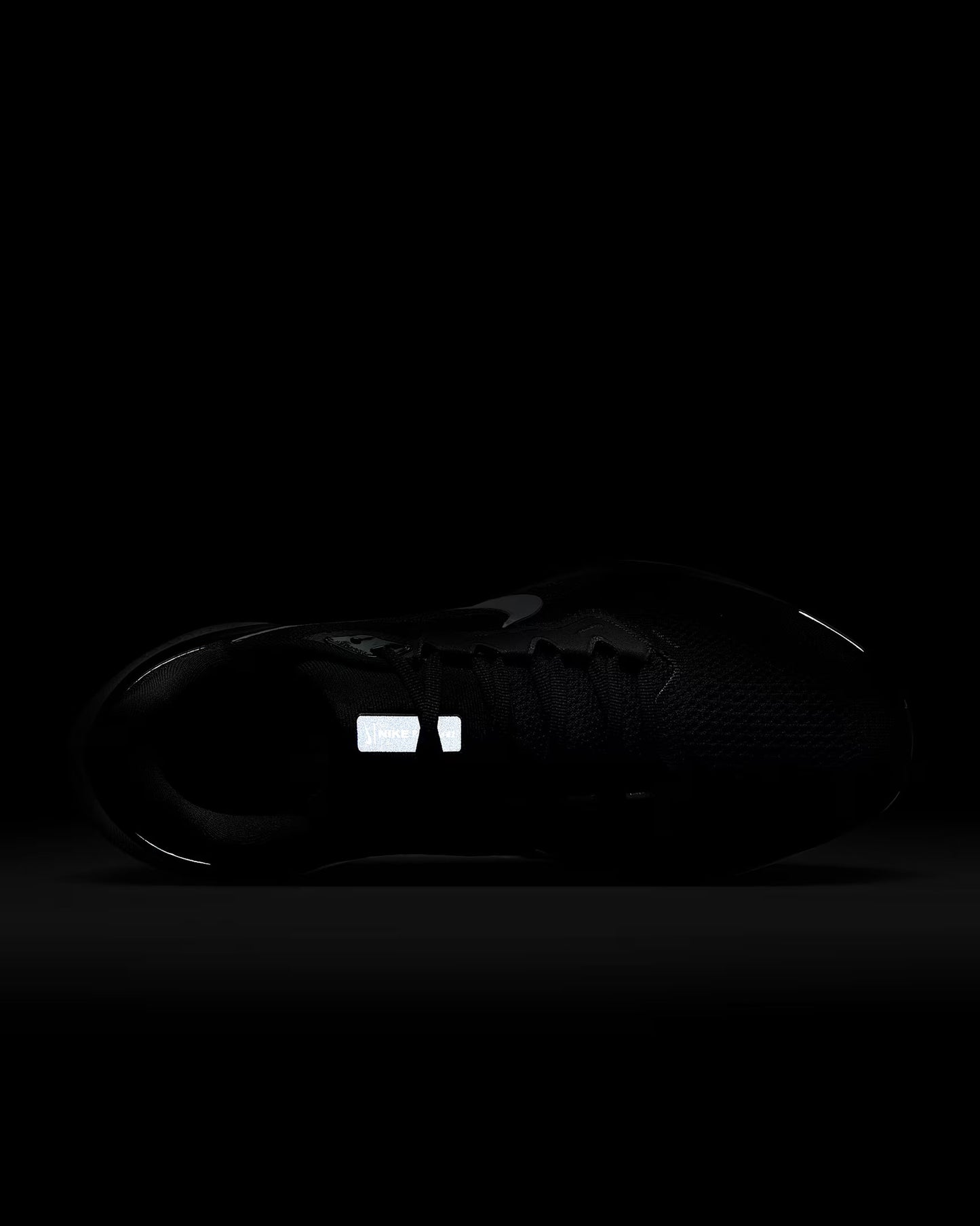 AIR ZOOM PEGASUS 41