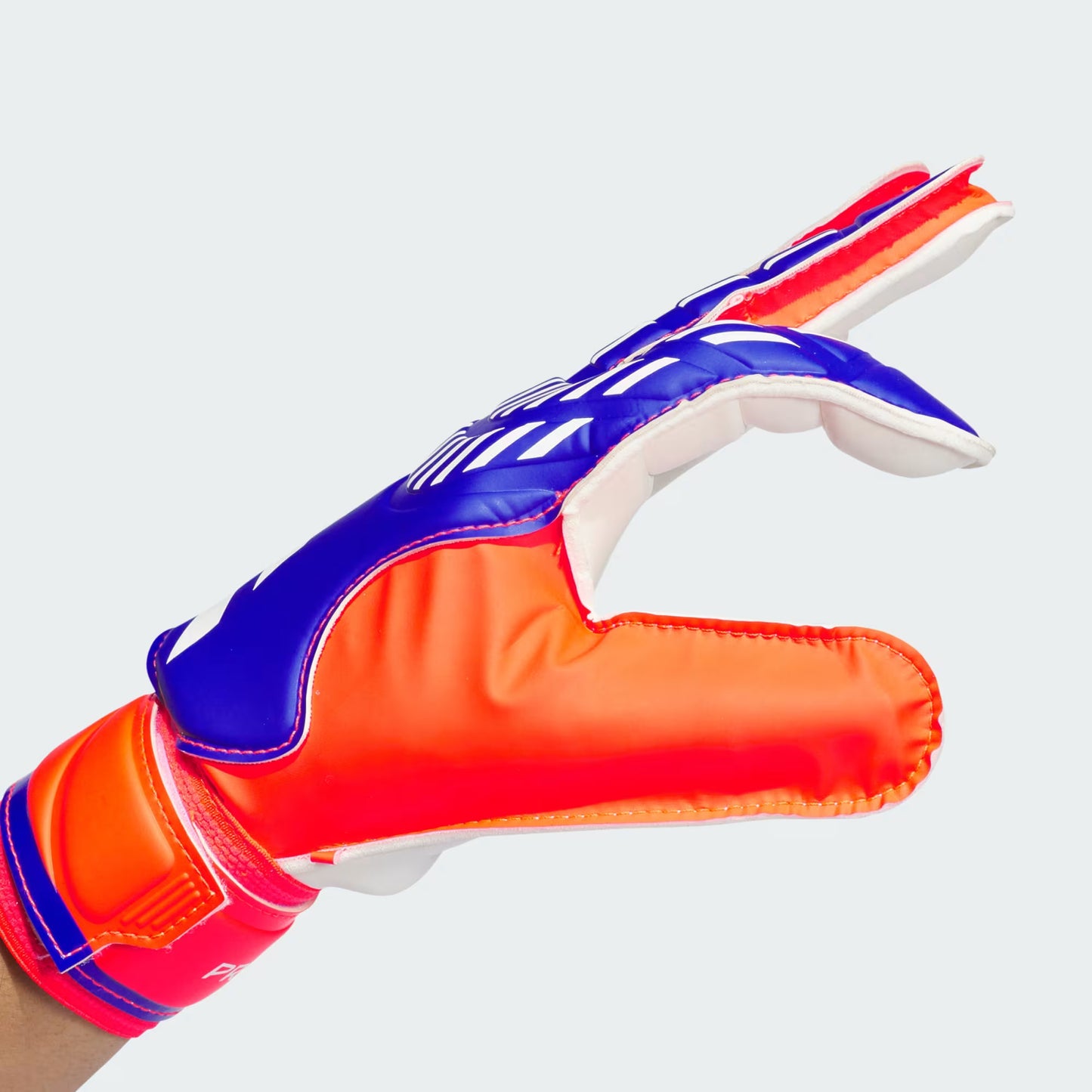 Guanti da portiere Predator Training Adidas